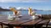 Enjoying cloudberry dessert outside