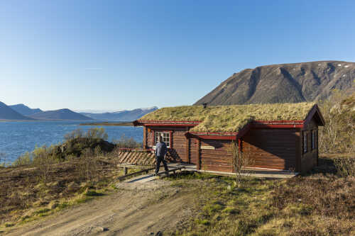 The family wilderness cabins are surrounded by nature