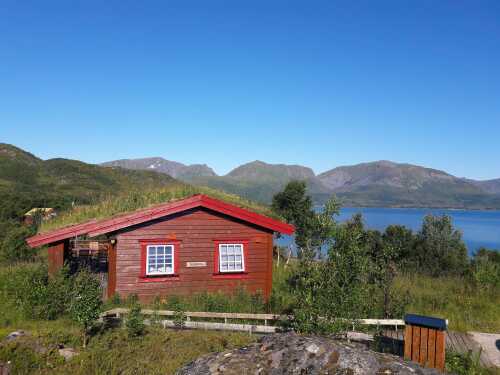 Family wilderness cabin in summer sunlight
