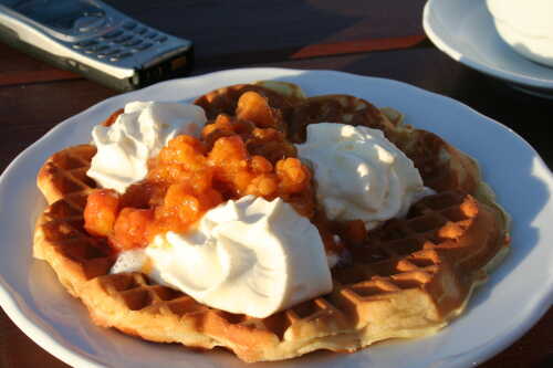 One wafle on plate topped with cloudberries and wipped cream